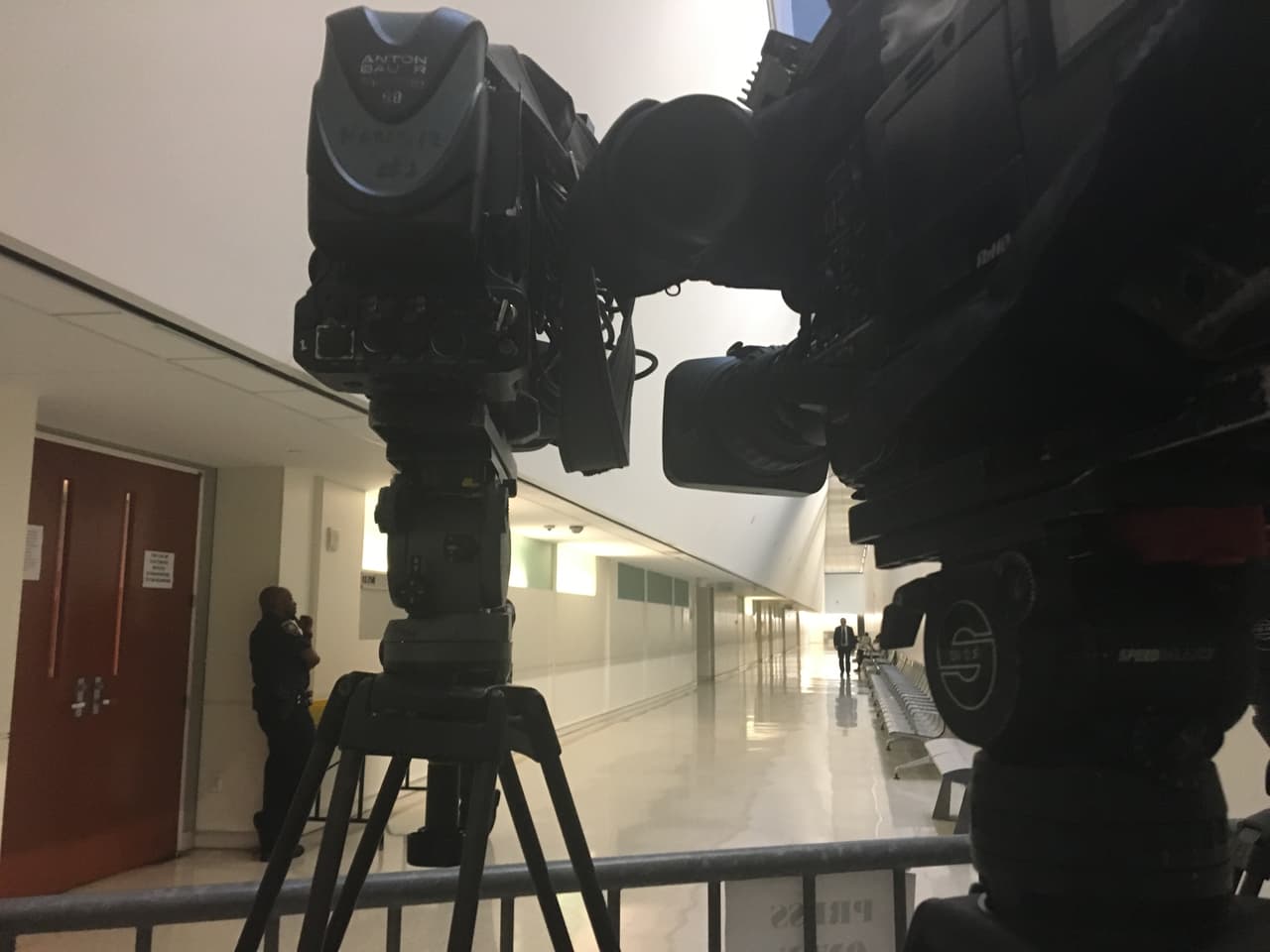 Álvarez confesó en la corte criminal de 
<a href="https://www.univision.com/temas/bronx" target="_blank">El Bronx </a>que la víctima les dijo que no pertenecía a ninguna pandilla y que no estaba armado. El sospechoso, de 20 años de edad, fue uno de los miembros de ‘
<a href="https://www.univision.com/local/nueva-york-wxtv/quienes-son-los-trinitarios-la-banda-que-mato-a-machetazos-a-un-joven-dominicano-por-error" target="_blank">Los Trinitarios</a>’ que arrastró a la 
<a href="https://www.univision.com/local/nueva-york-wxtv/un-video-muestra-a-dos-policias-que-al-parecer-no-ayudaron-al-joven-que-murio-atacado-a-machetazos" target="_blank">víctima fuera de una bodega para acabar con su vida a machetazos</a>.