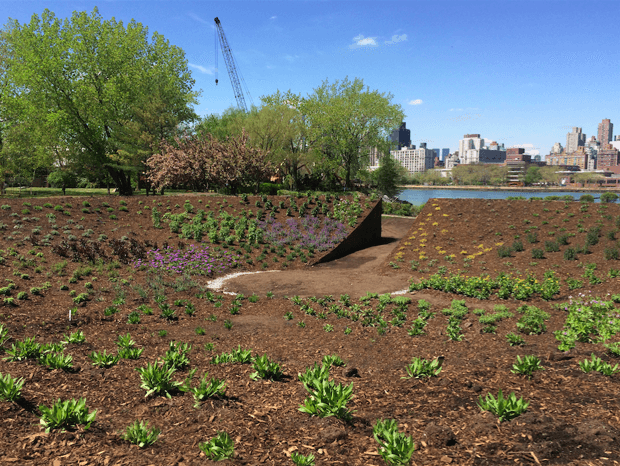 Un mundo hecho para abejas llegará a Nueva York este verano