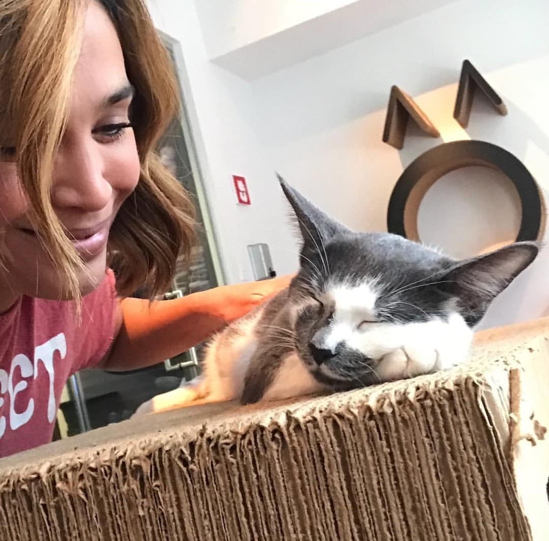 La conductora mexicana no dudó en acercarse a los felinos para darles amor, tal como lo hace con Chómpiras.
<br>