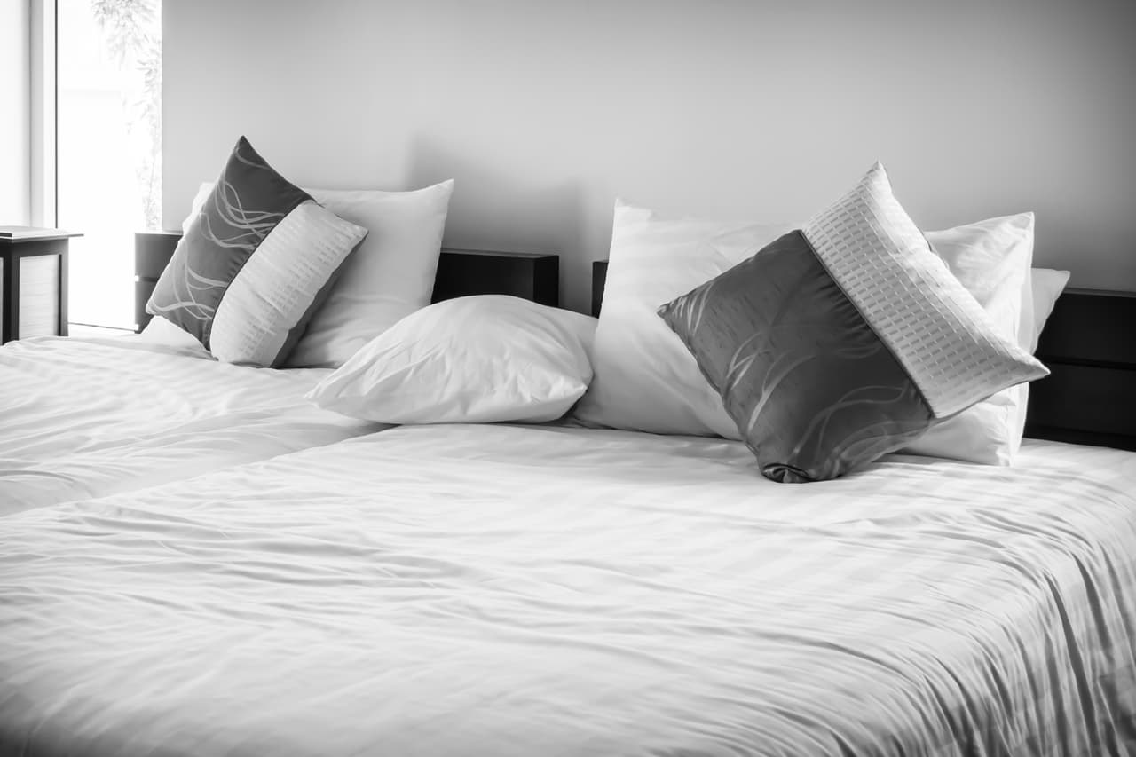 Su tamaño les permite esconderse en pliegues de equipaje, maletas y ropa. Son conocidas por aparecer en dormitorios, hoteles y edificios de departamentos.