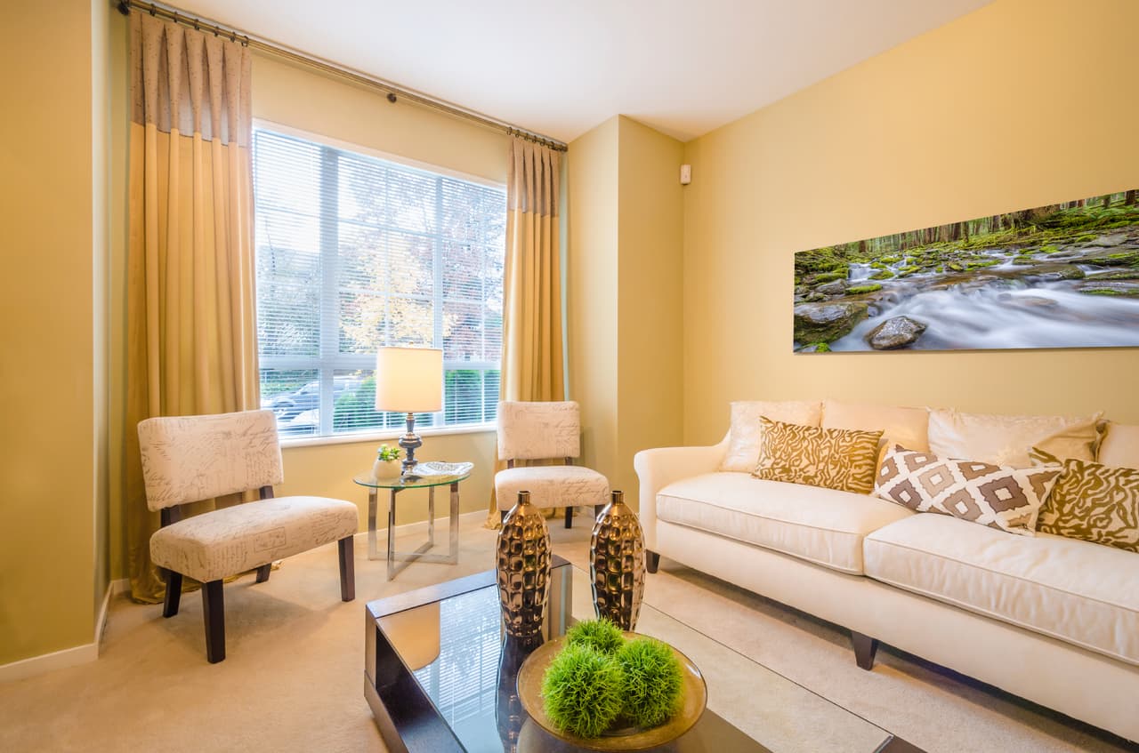 Sella las grietas de tus paredes y mantén las ramas de los árboles y las plantas en espacios exteriores.