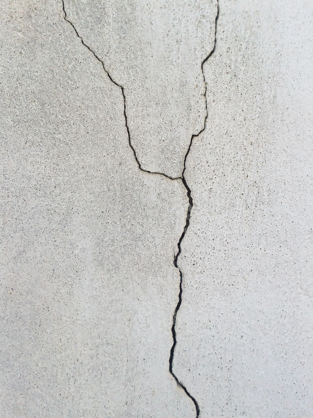 La mejor manera de prevenir esta plaga es pasar la aspiradora con frecuencia y asegurarse de que las grietas de los cimientos estén selladas. Asegúrate también de arreglar cualquier fuga de agua, ya que pueden salir por ahí.