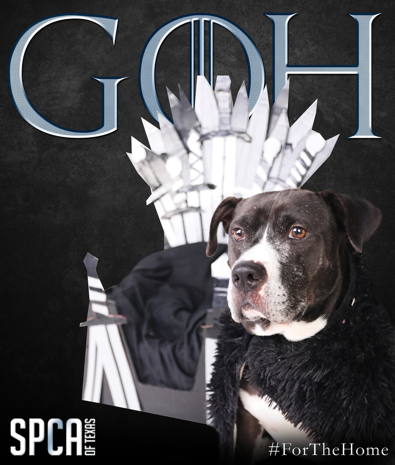 La popular serie de televisión “Game of Thrones” tiene su episodio final el domingo y SPCA llevara a cabo una campaña nombrada, “Game of Homes” para intentar encontrar hogares para los animales en sus dos albergues.