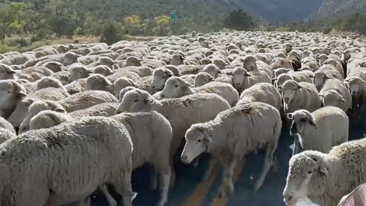 Esto sucedió en el parque nacional Manti-La Sal al sureste de Utah.