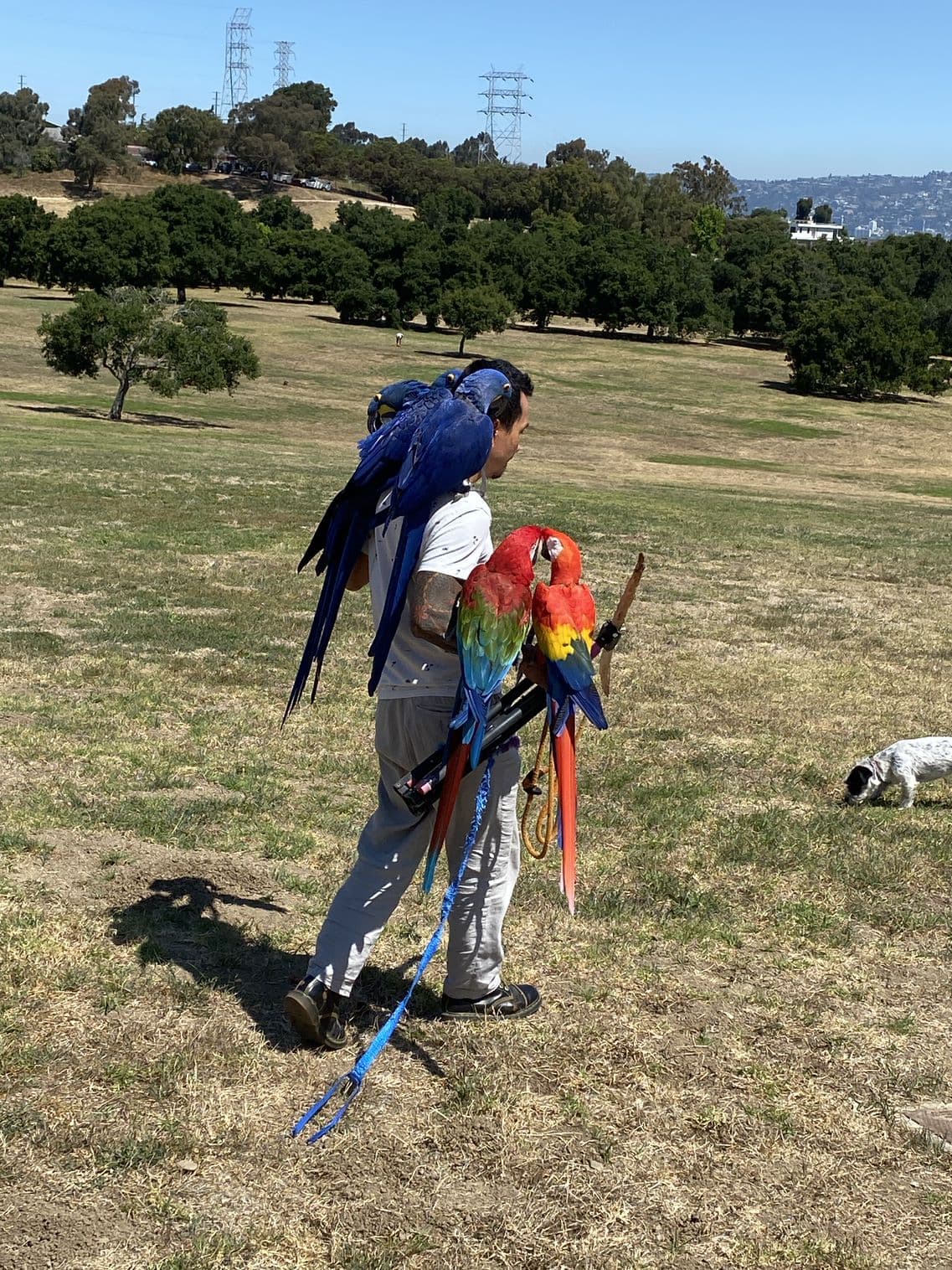 La intención en cada uno de los espacios que forman parte de 
<b>The Baldwin Hills Parklands</b> es que sus visitantes disfruten de aire y agua limpia, mientras se relajan o ejercitan en conexión con la naturaleza.