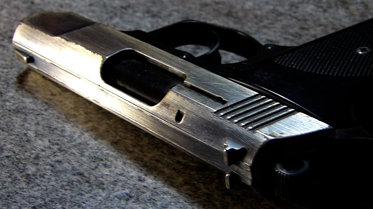 En su inocencia, el bebé tomó el arma, fue hasta donde su mamá y la accionó en su contra, mientras ella sostenía una reunión de trabajo por medio de la plataforma Zoom.