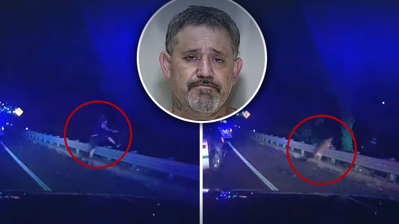 Perro policía captura a hombre que intentó escapar de una persecución en Ocala