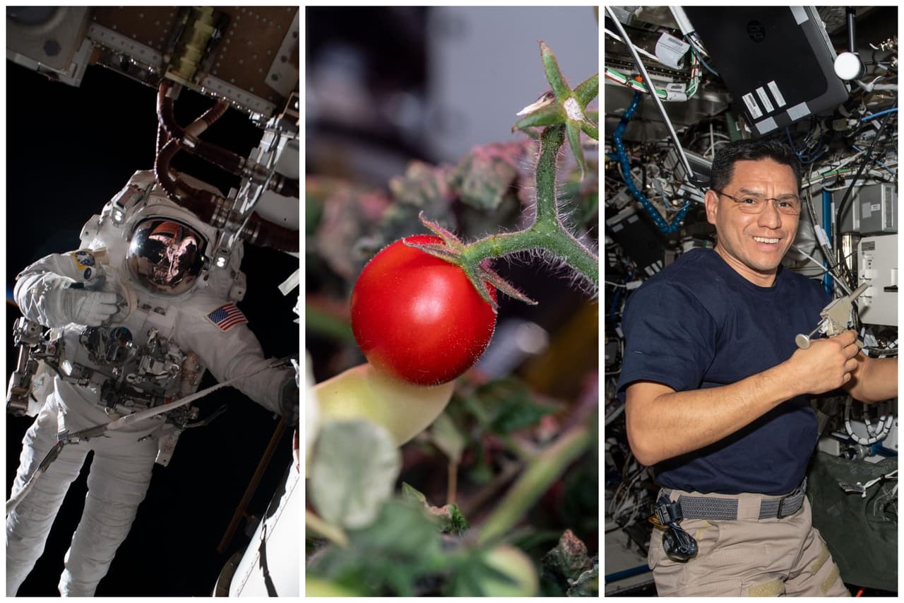 Caminatas espaciales, cultivo de tomates y estudios de energía: así vivió el astronauta Frank Rubio más de un año en el espacio