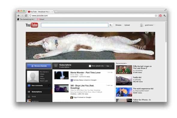 Adblock LolCats (2012) - A veces una simple broma resulta ser una buena idea. En 2012, el autor de AdBlock, Michael Gundalch creó una versión para la famosa extensión del navegador llamada CatBlock que reemplazaba los anuncios que surgían con fotos de gatos.