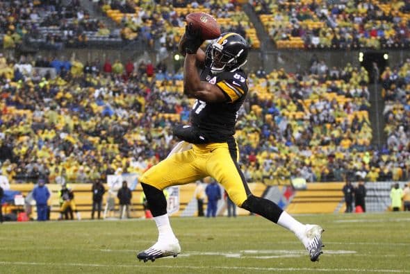 Jerricho Cotchery, primer receptor contratado por los Panthers para el 2014