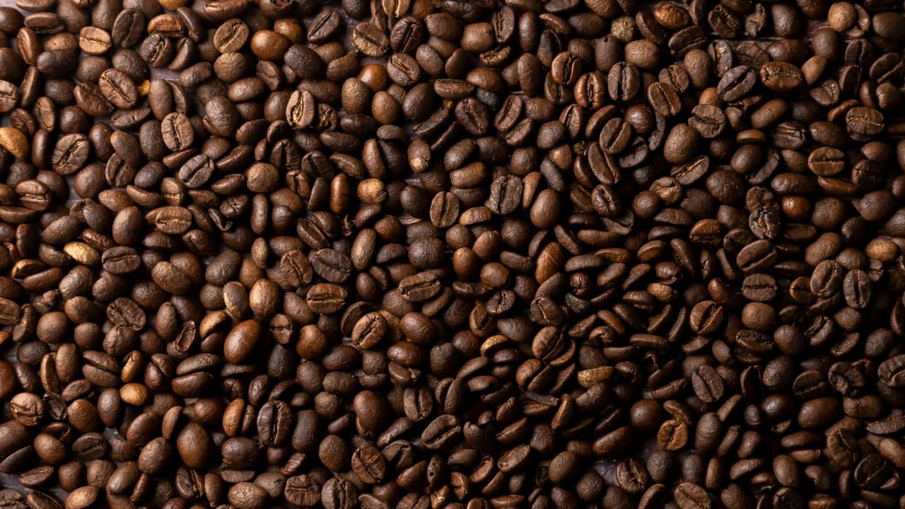 <h2 class="cms-H2-H2">Café</h2>
<br>Las autoridades mexicanas especifican que el café sí se puede llevar para consumo personal, pero tiene que cumplir con ciertos requisitos sanitarios (empaques íntegros, etiquetas).