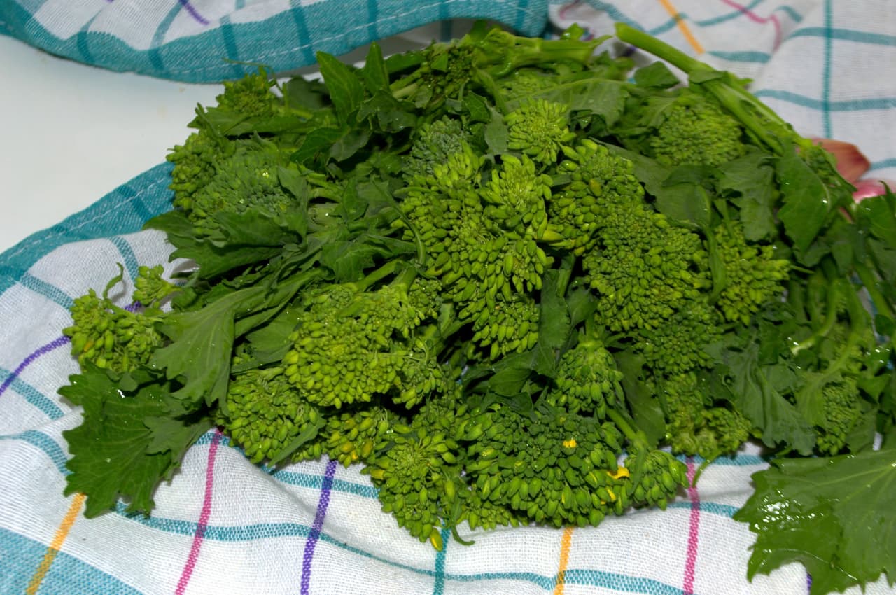 Los grelos son las hojas de una variedad de nabo y una verdura típica de la cocina gallega.