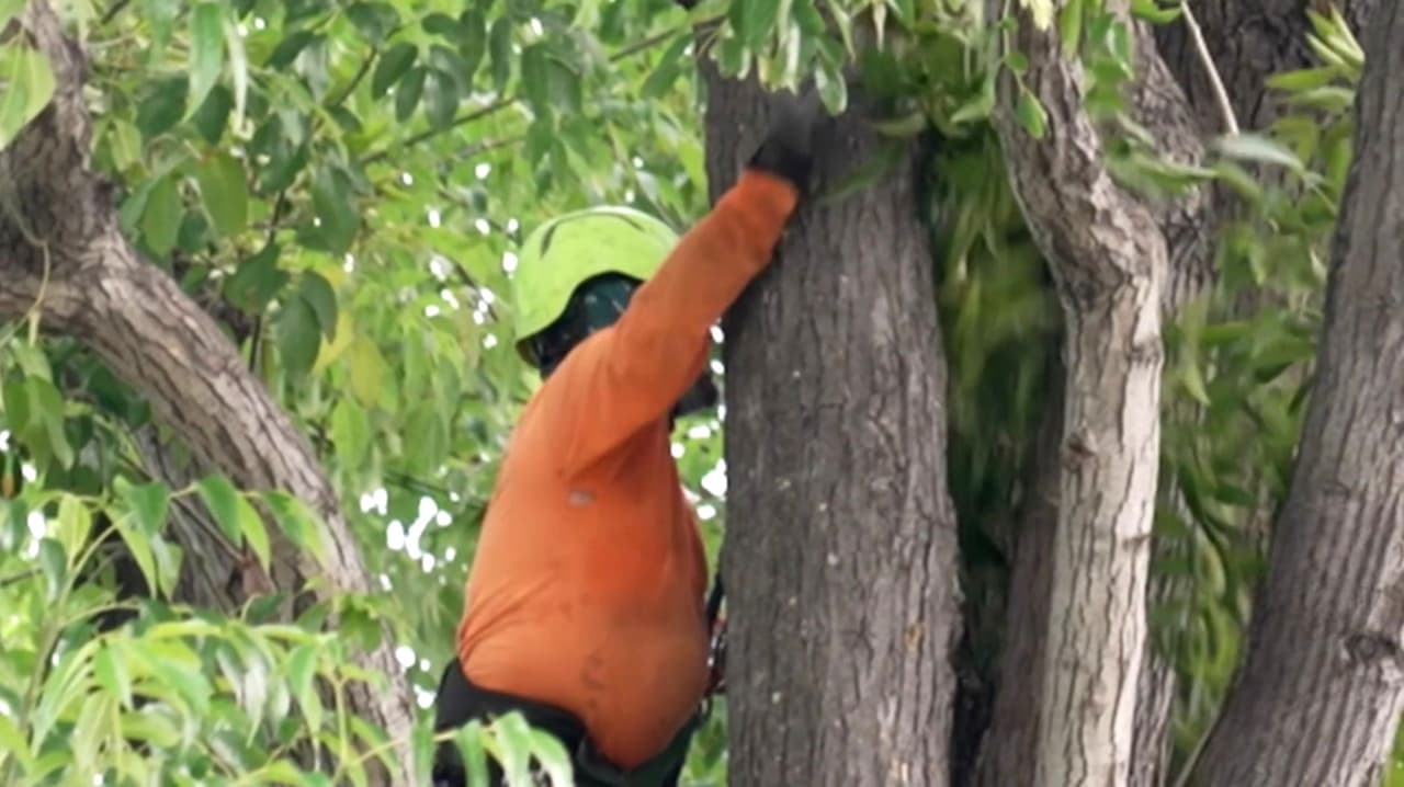 “Nosotros por ser hispanos ganábamos menos”: Trabajadores reaccionan a brecha salarial en California