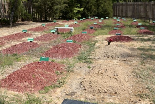 La policía de Worcester informó: "como resultado de nuestra petición pública de ayuda una persona valiente y compasiva vino a proporcionar la asistencia necesaria para enterrar adecuadamente al fallecido", pero no reveló el lugar.