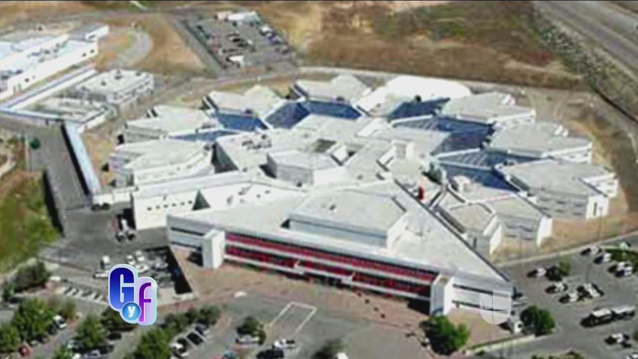 El dinero que sus fans recolectaron para Larry no se lo entregaron debido a las estrictas normas de seguridad. Su viaje fue financiado por la ciudad de Newberry que costó $150 dólares por noche.