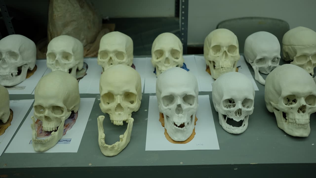 Una artista trabaja en el cránero de uno de los inmigrantes no identificados.