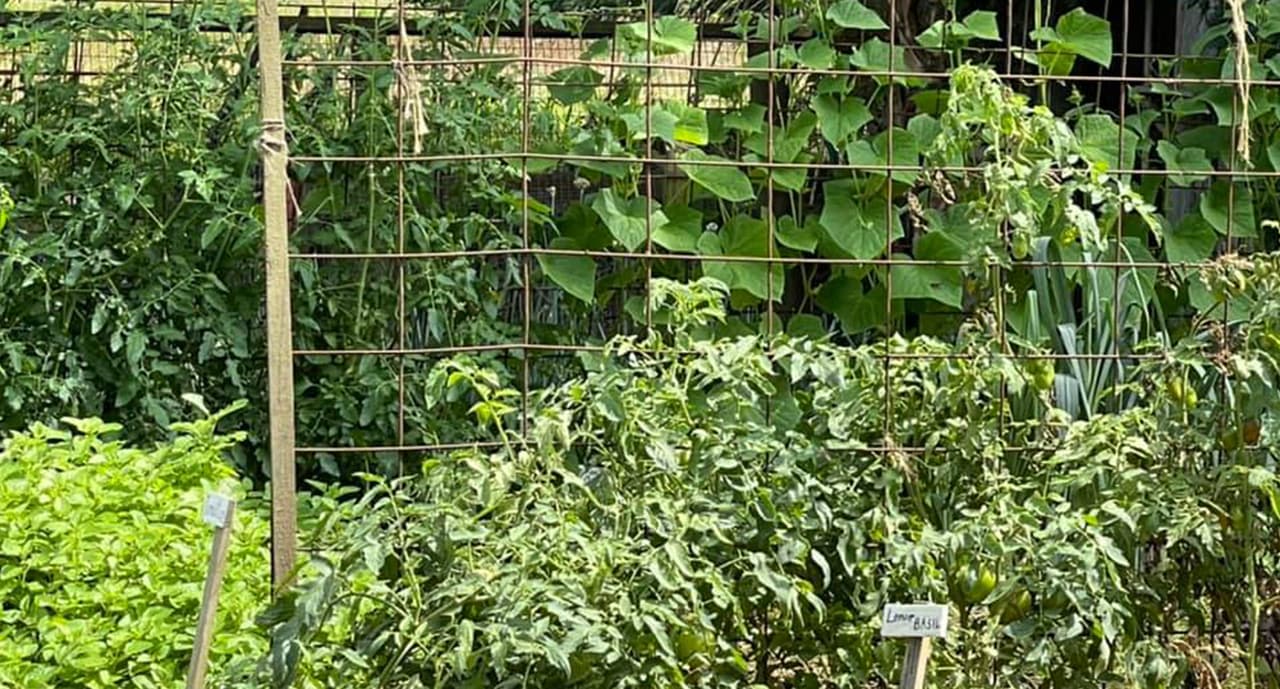 Cuentan con programas de educación ecológica. Esta ubicado en el 8500 Bay Area Boulevard. En Pasadena, Texas 77507.