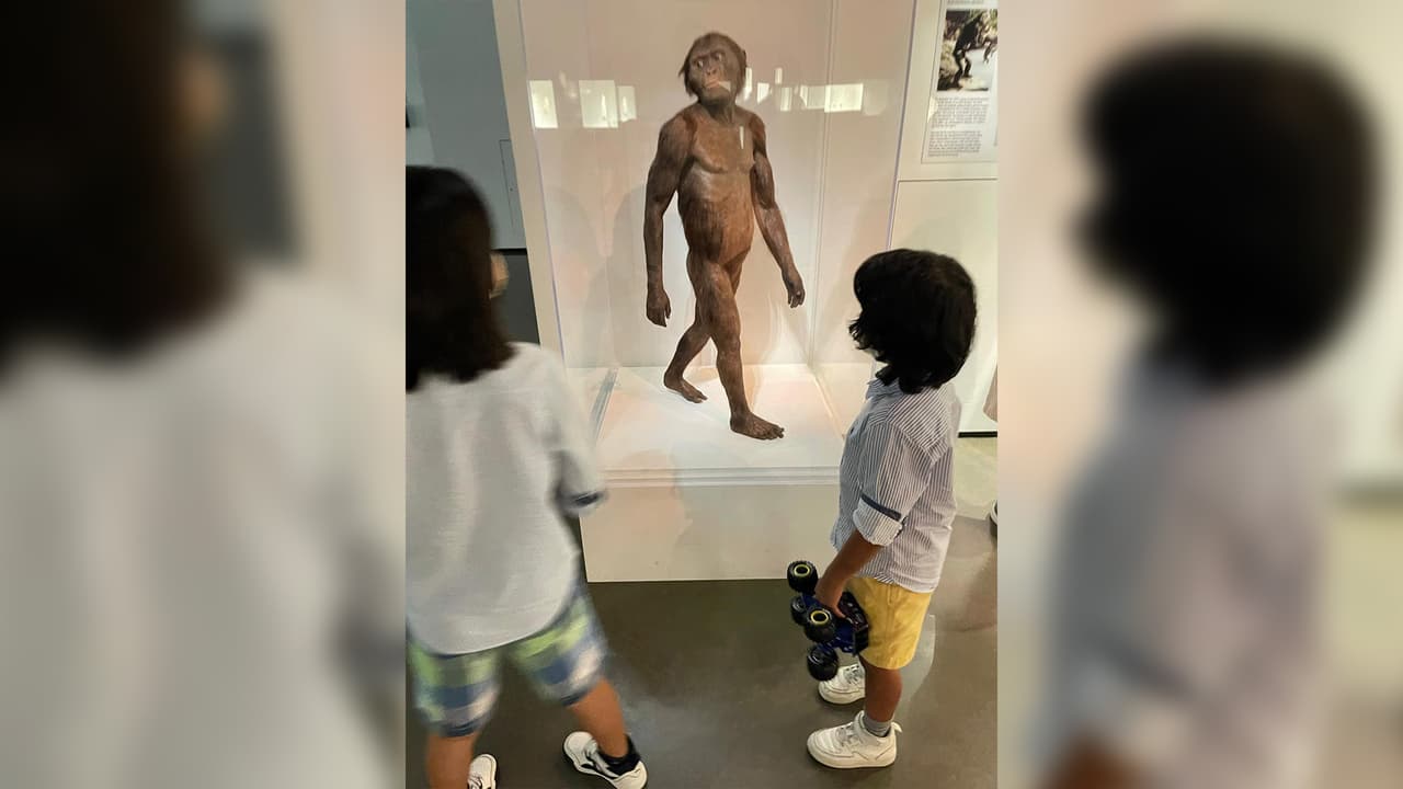 Lo puedes visitar cualquier día, no necesariamente el fin de semana y es de ambiente familiar.