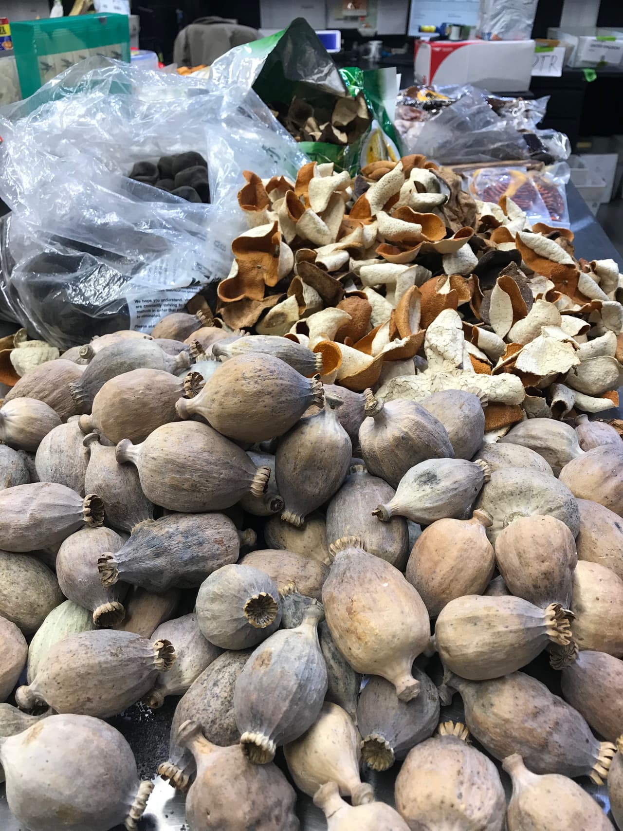 De acuerdo con sus funcionarios son la primer y la última línea de defensa contra los narcóticos.