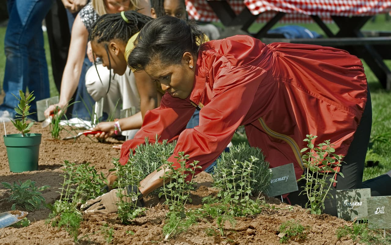 Al llegar a la residencia presidencial en enero de 2009, a la primera dama se le ocurrió excavar un poco en el jardín para quitar la suciedad y sembrar algunas hortalizas. Así comenzó el proyecto que continuaría a lo largo de 8 años.