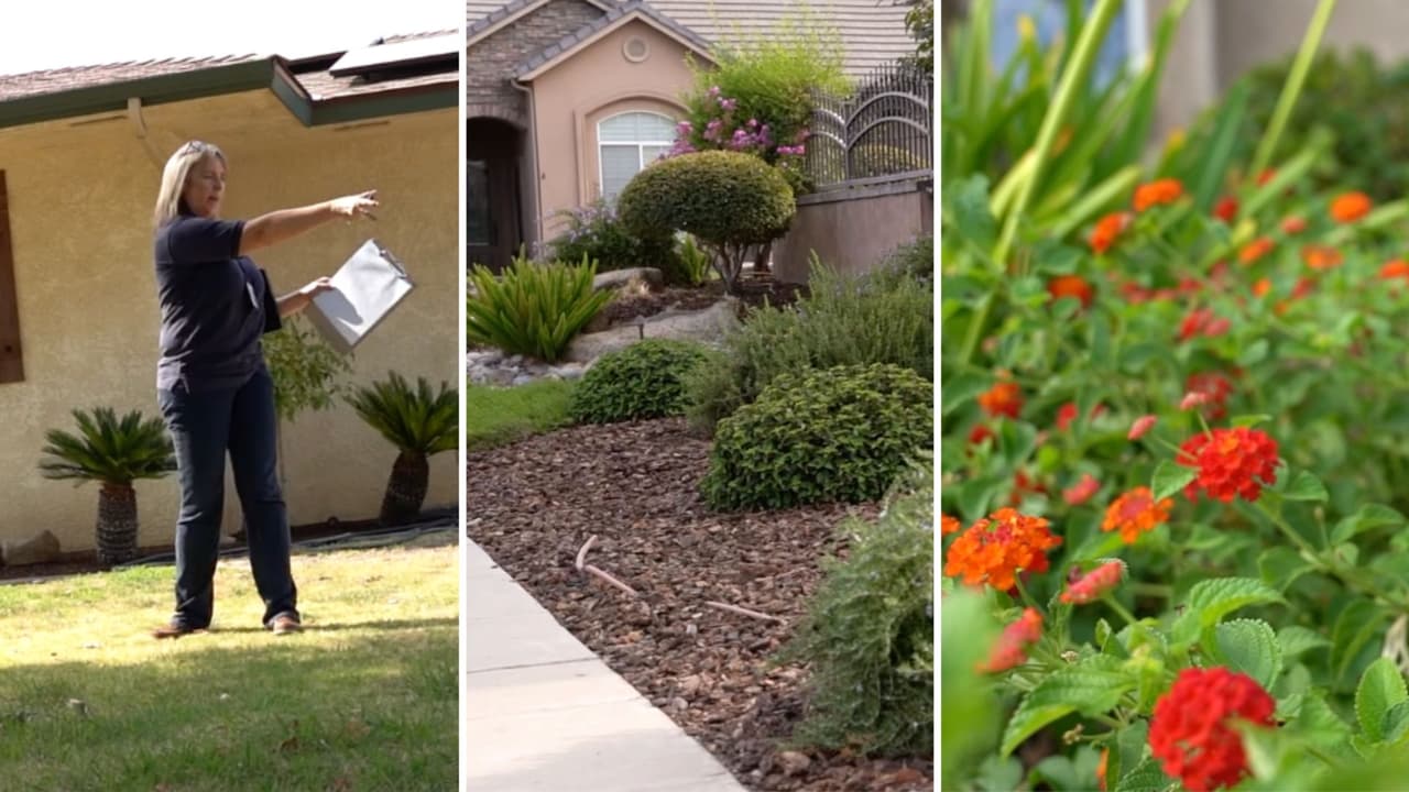 ¿1,500 dólares por arreglar tu jardín? Esto te ofrece la Ciudad de Fresno