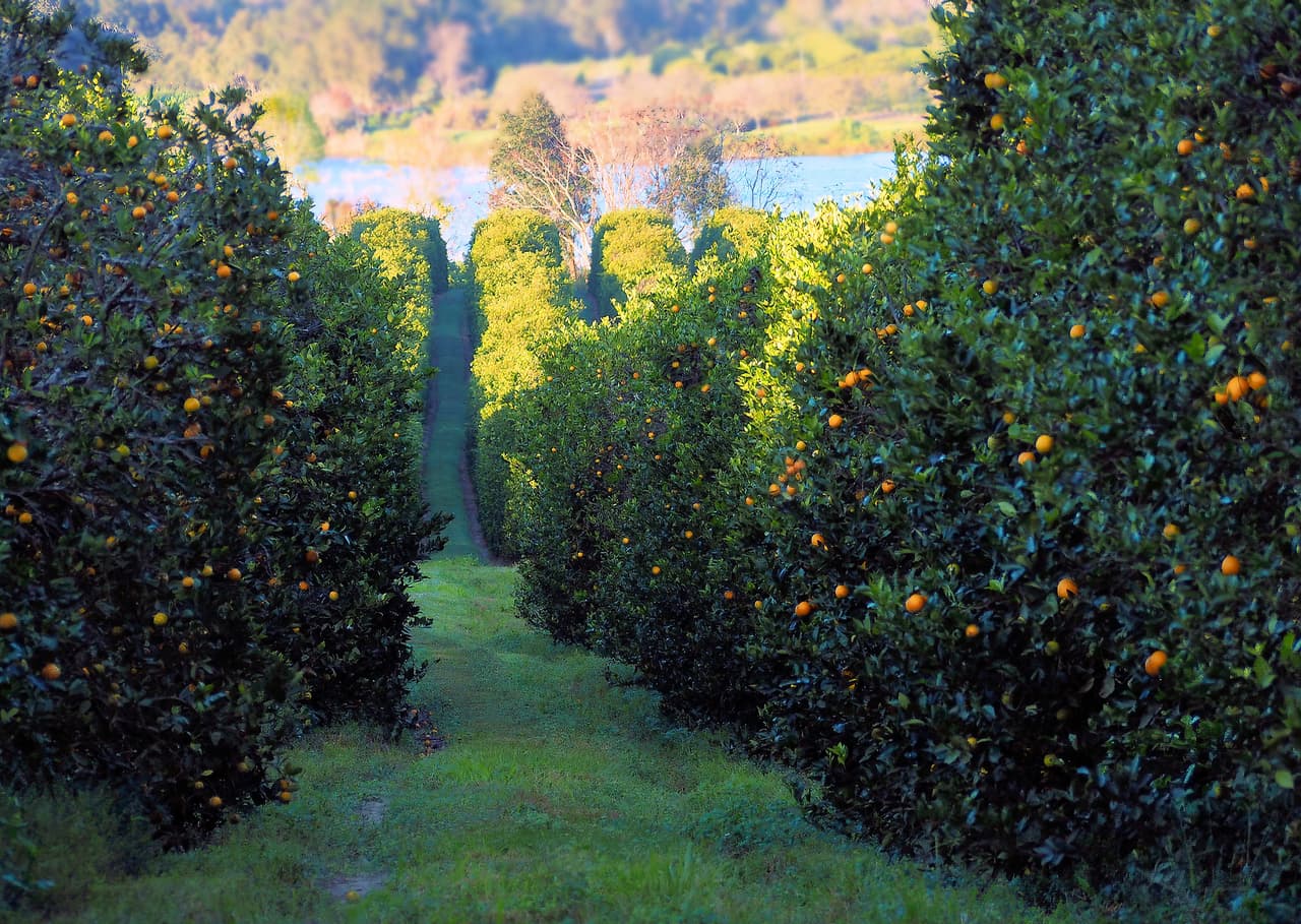 <h3 class="cms-H3-H3">17. Heritage Pines, Florida</h3>
<br>
<br>📖
<b>Media de edad: </b>72.9 años.
<br>
<br>📖
<b>Población que asiste a la universidad: </b>1.2%
<br>
<br>📖
<b>Población menor de 18 años: </b>0.0%
<br>
<br>📖
<b>Población mayor de 65 años: </b>86.1%
<br>
<br>📖 Población: 1,783 habitantes.
<br>