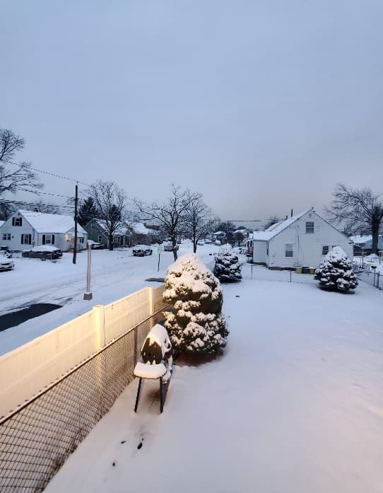 Los usuarios de Univision compartieron la vista de la nieve desde sus apartamentos o casas.