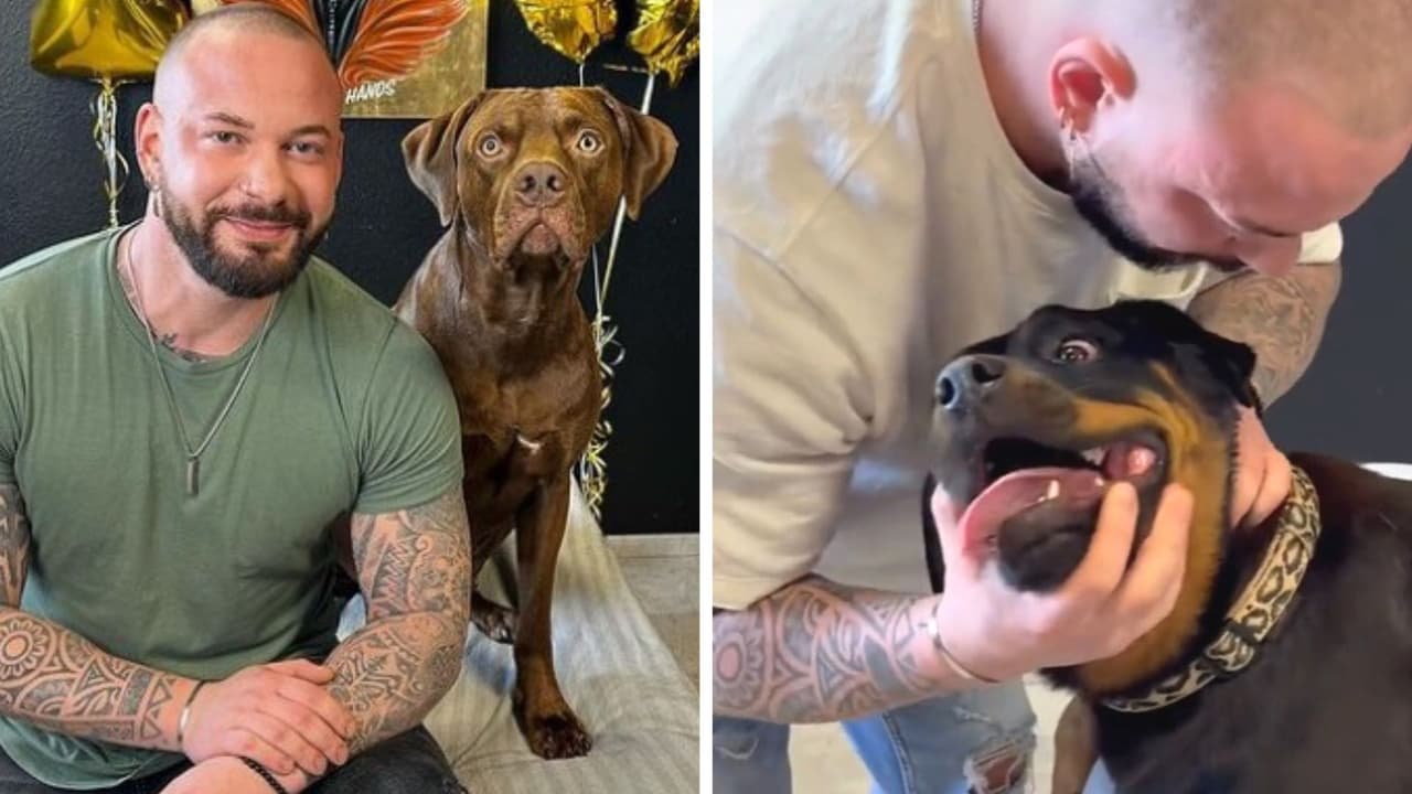 Quiropráctico se hace viral en TikTok por curar dolor a perritos: sus reacciones enamoran a Internet