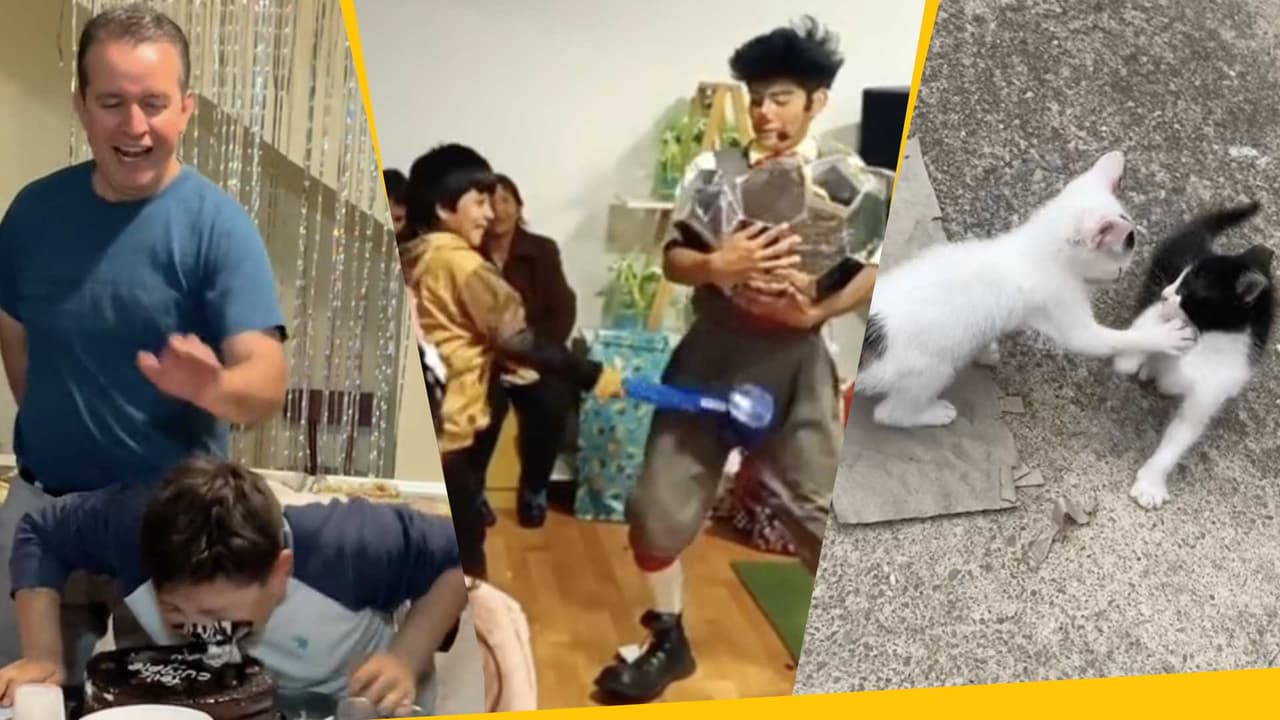 'A lo que yo vine, fue a esto': las mejores caídas de TikTok y el origen del viral audio