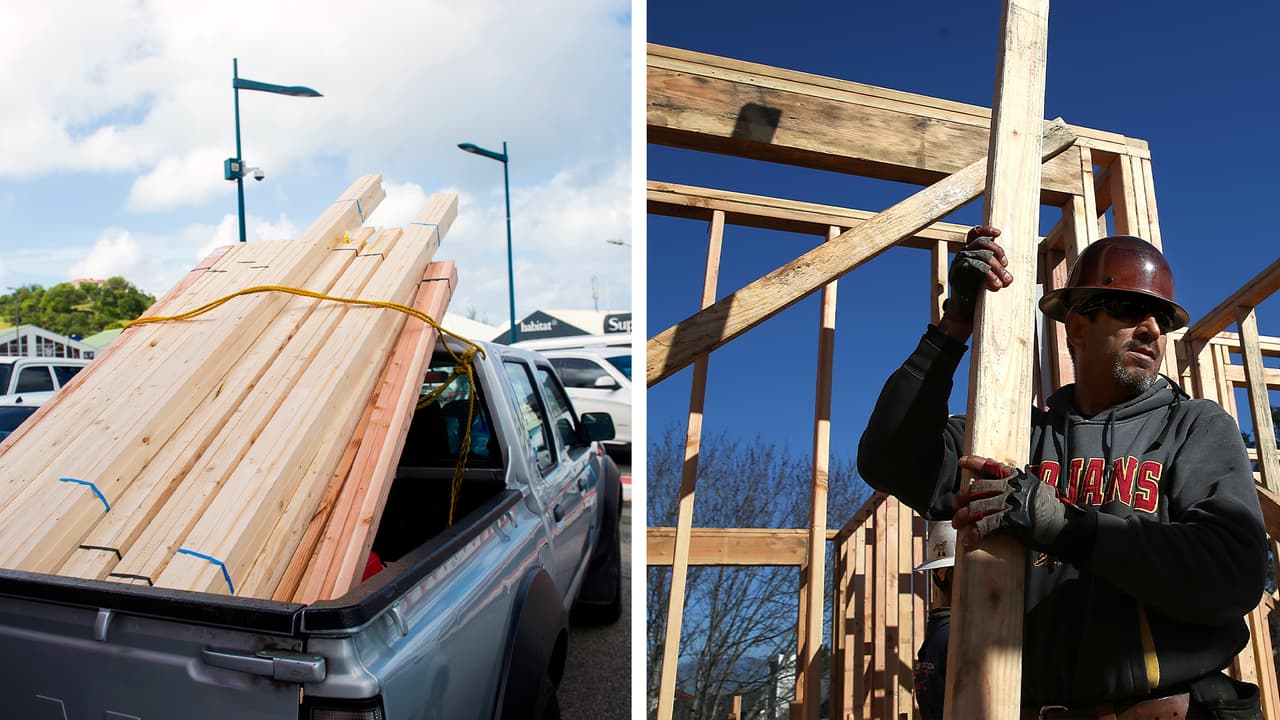 “Podría causar fallas catastróficas”: emiten alerta sobre uso de la madera europea en Carolina del Norte