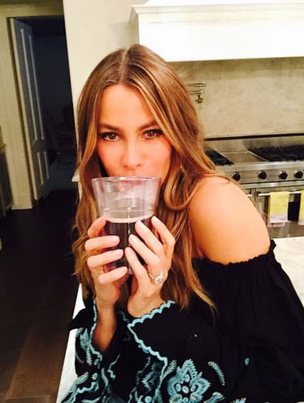 Todas las veces que Sofía Vergara sale comiendo en su Instagram