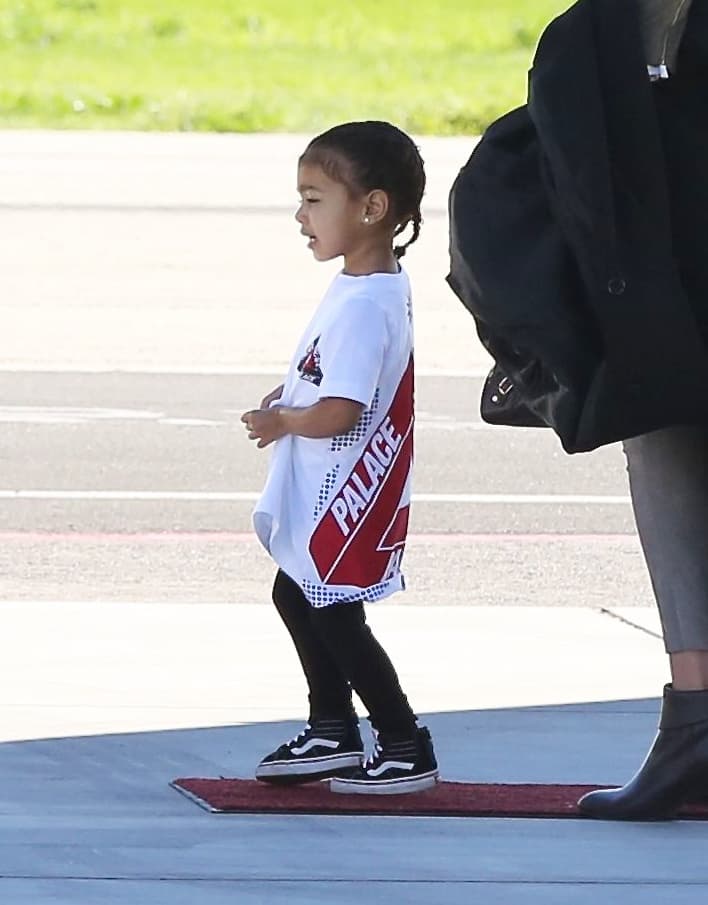 Al parecer se llevan de maravilla.