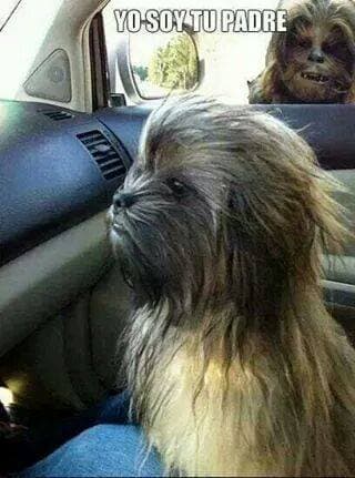 Únete al lado oscuro de la fuerza y ríete un poco con estas bromas de la película.