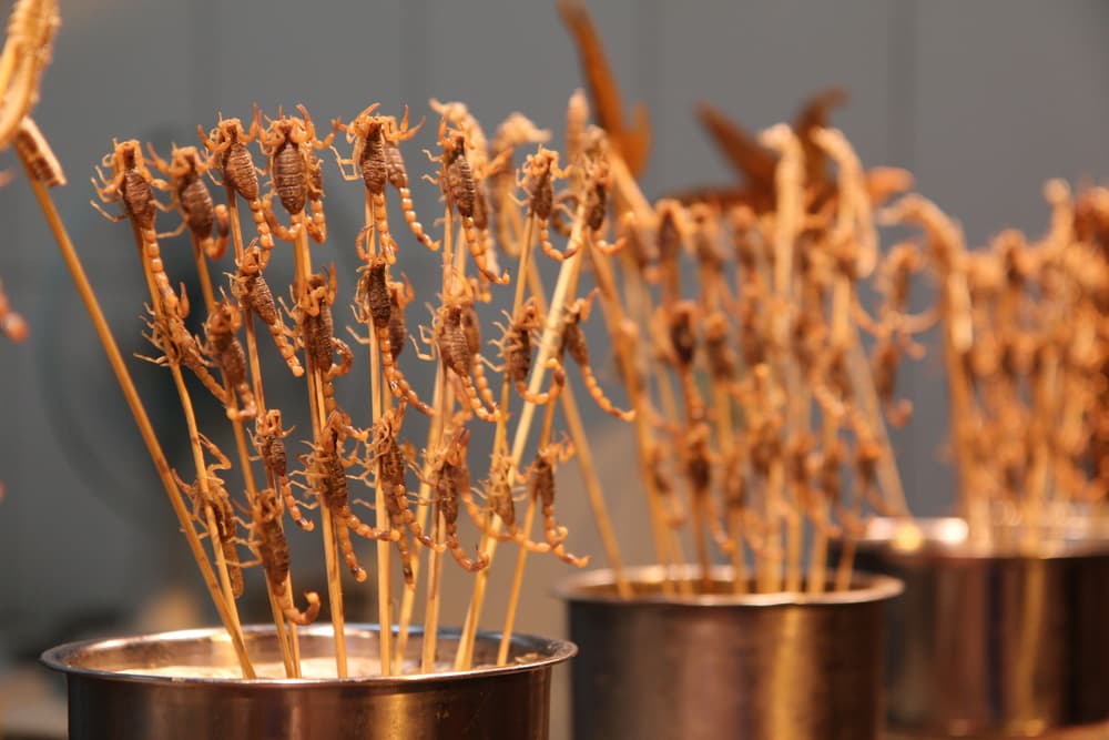 Si a ti te da asco esta imagen de platillos callejeros en China, con escorpiones fritos, seguro un Escorpión será justamente el primero en ir a comprarse uno. A la hora de comer y cocinar, sus platos no dejarán a nadie indiferente, porque todo lo hará (y devorará) con la misma intensidad y pasión con la que viven su día a día.