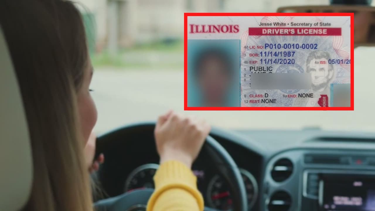 Conductores de Illinois podrían tener pronto una licencia digital
