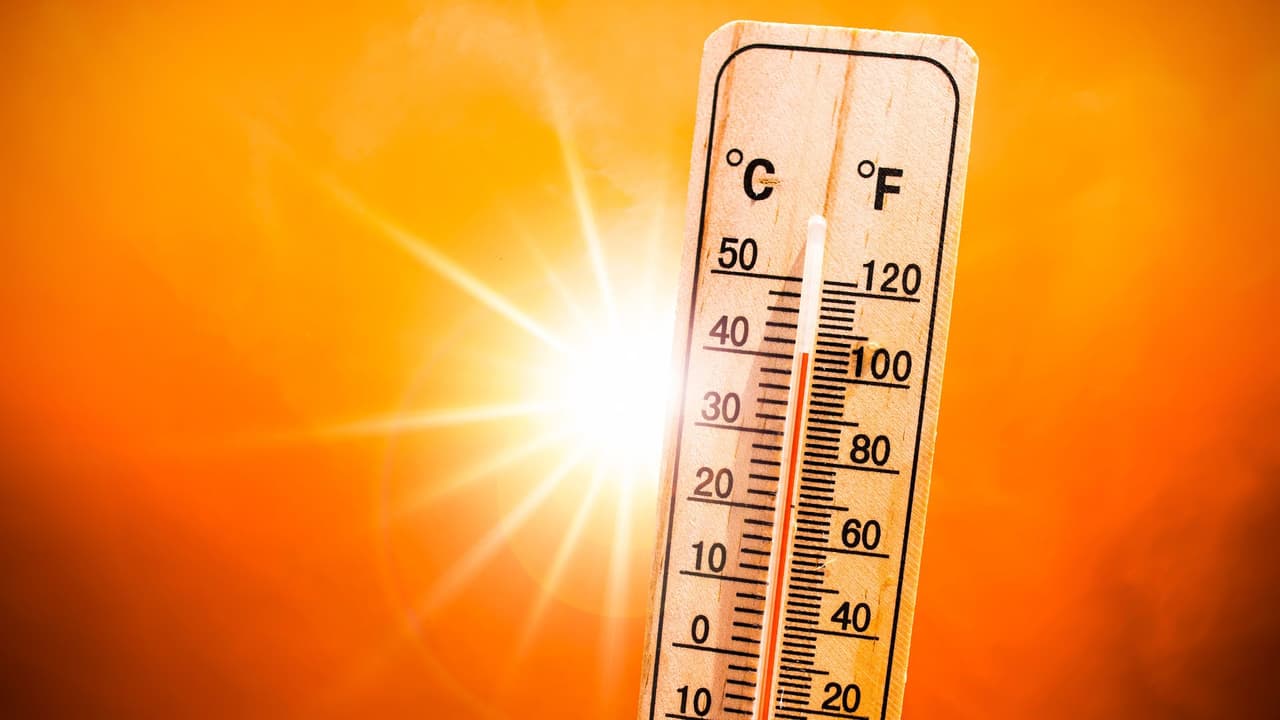 ¿Mucho calor en Dallas? Estos son los centros de enfriamiento disponibles