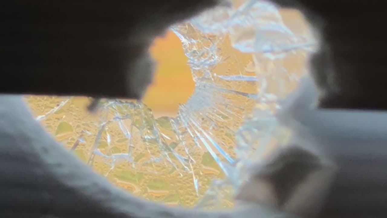 Autoridades del condado de Hillsborough piden no balas al aire en la despedida de año