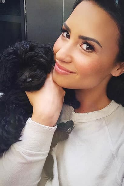 Demi Lovato recibió a Batman como regalo de cumpleaños.