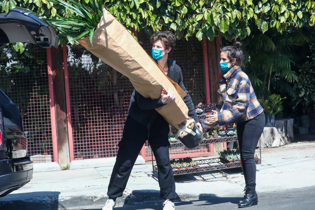 Algunas de las macetas les costó trabajo meterlas a la cajuela de la camioneta. 
<br>