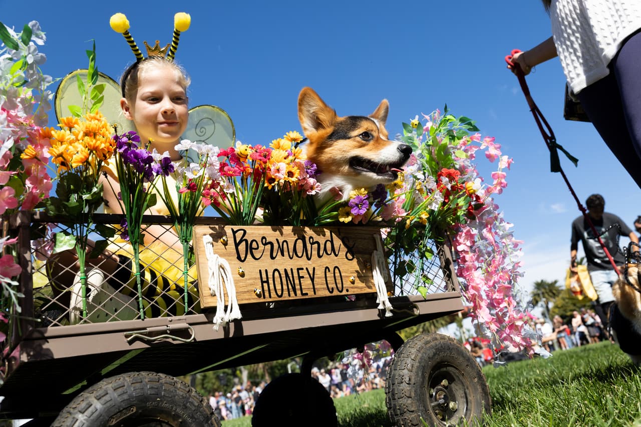 Viaje en primera clase. Bernard y Aubrey desfilan a bordo de su propia carroza de la 'Bernard Honey Co.