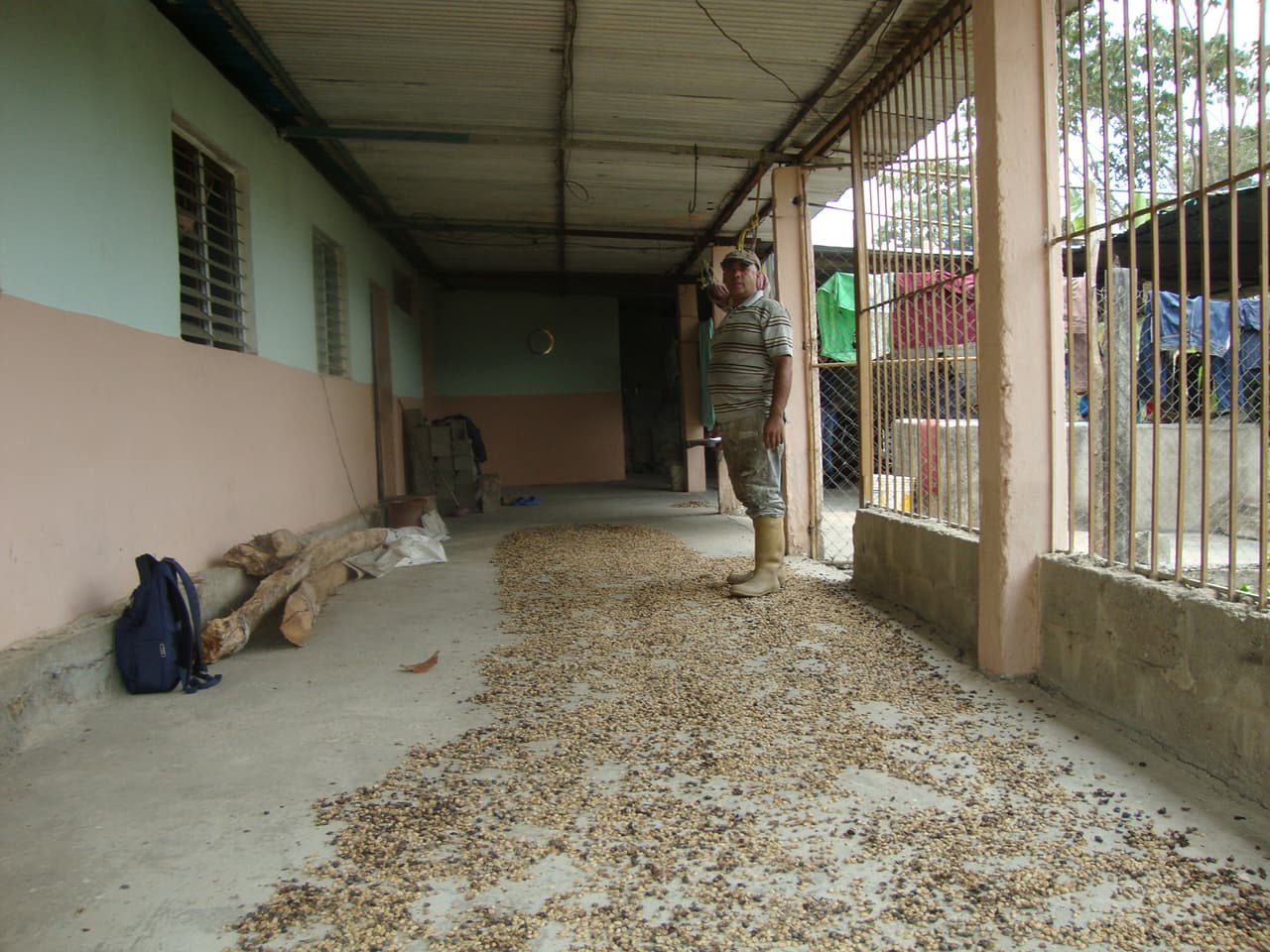 Los campesinos secan pequeñas porciones de café para canjearlo por otros productos.