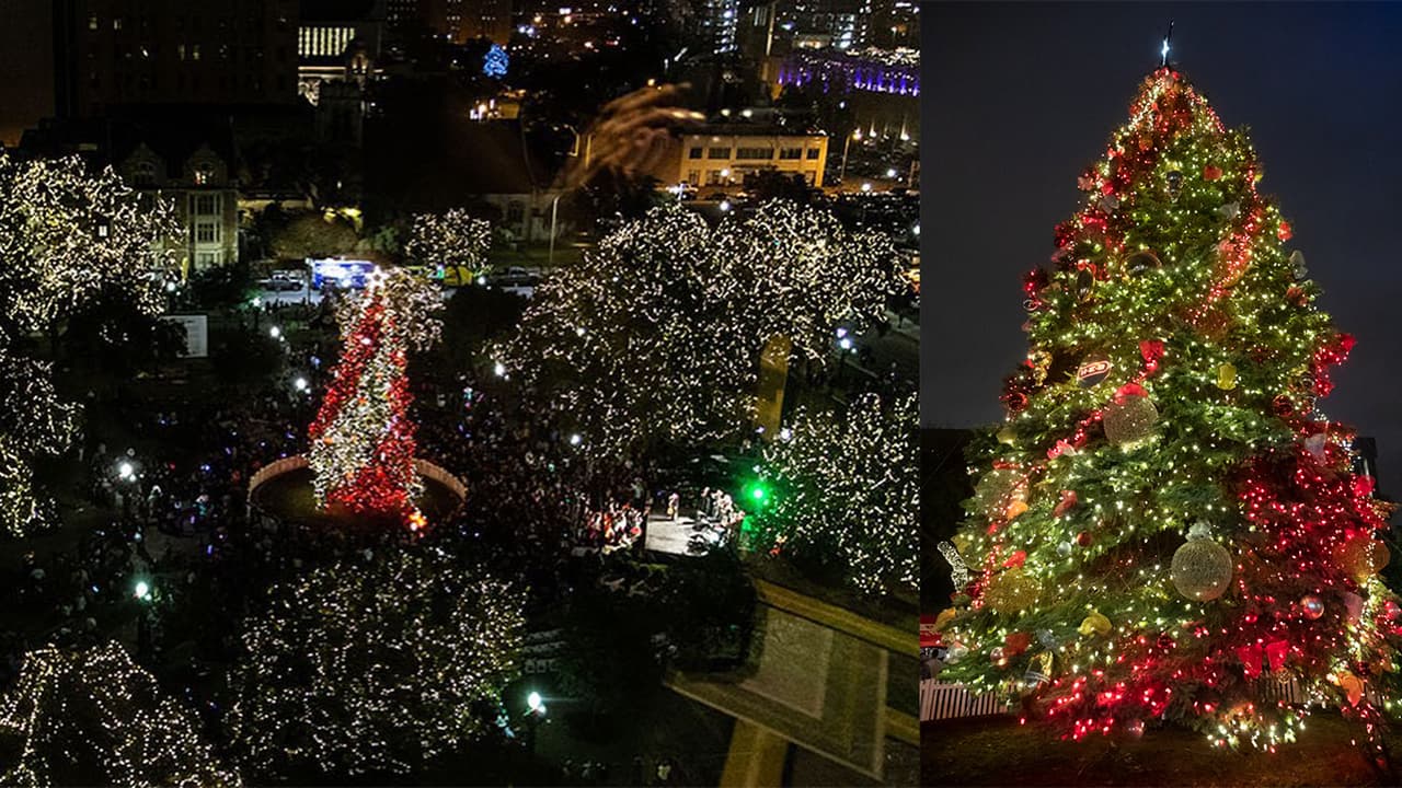  El árbol de Navidad oficial de San Antonio llega a Travis Park este martes
