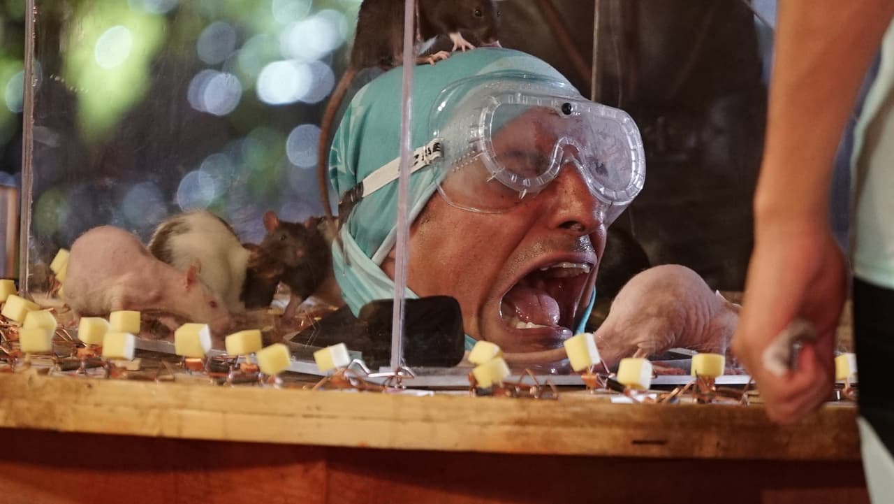 Sin duda, el que más sufrió en la prueba fue 
<b><a href="https://www.univision.com/shows/reto-4-elementos/mauricio-y-chevo-fueron-eliminados-de-la-competencia-video">Chevo</a></b>, basta con ver esta fotografía donde está gritando de terror.