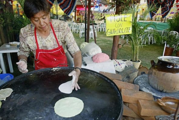 Entre los moles regionales se ha destacado el mole poblano de guajolote.