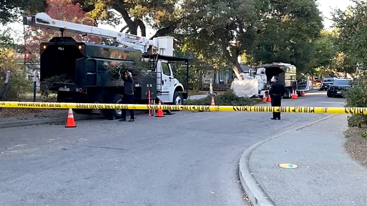 Identifican como latino al podador de árboles que murió tras caer a una trituradora de ramas