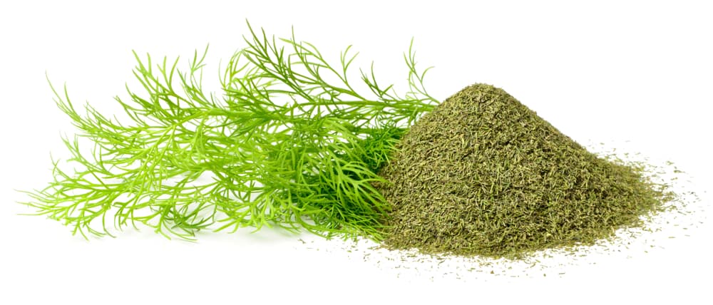 Las hojas y los frutos pueden emplearse a modo de condimento en la cocina, para sazonar diversos platillos, como carnes o pescados, mientras que las semillas pueden servir para hacer unas infusiones naturales que ayuden a sanar distintas enfermedades o dolores del cuerpo.