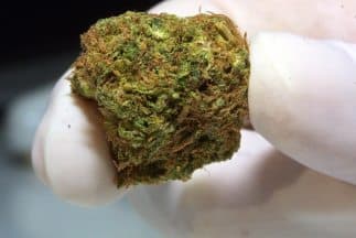 Según la ley los residentes legales en Uruguay que se registren podrán comprar hasta 10 gramos a la semana y 40 por mes en una red de farmacias.