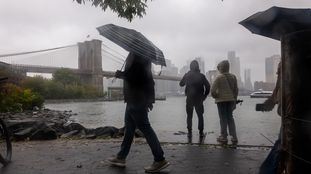 Muere mujer en Brooklyn tras caerle un panel solar durante tormenta nor’easter