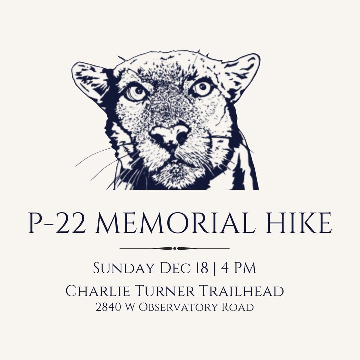 El puma, conocido como el "gato de Hollywood”, se convirtió en el rostro del esfuerzo de rastreo de leones del NPS.
<br>