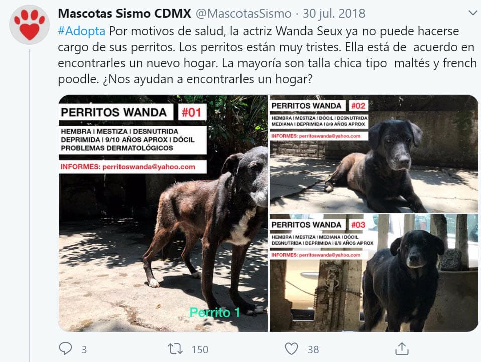 En 2018, tras los problemas de salud que presentó, tuvo que darlos en adopción. Diferentes albergues de la Ciudad de México la ayudaron a difundir la información.
<br>